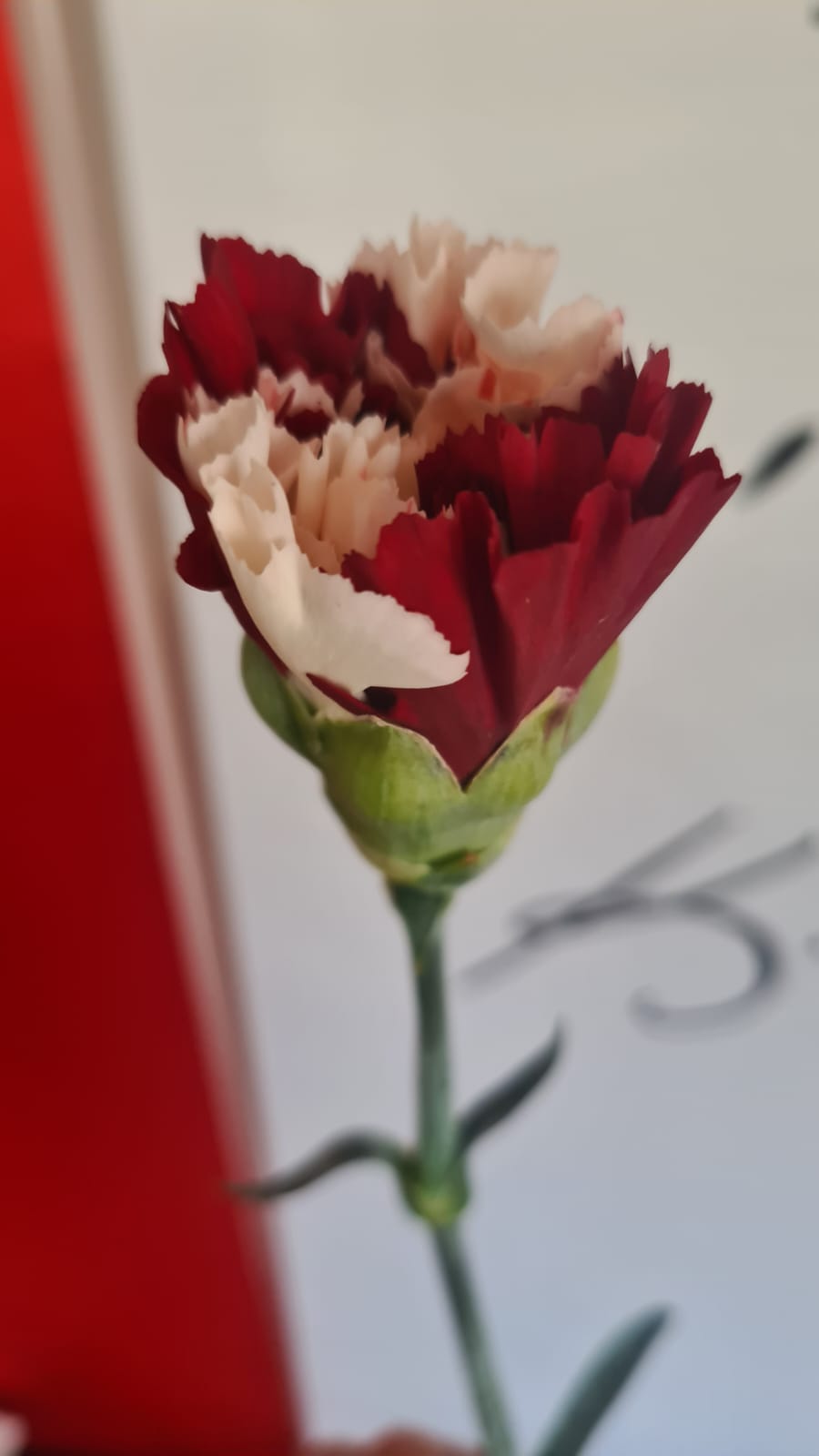 Firmamızdan Kareler